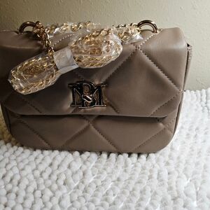 Badgley Mischka Purse